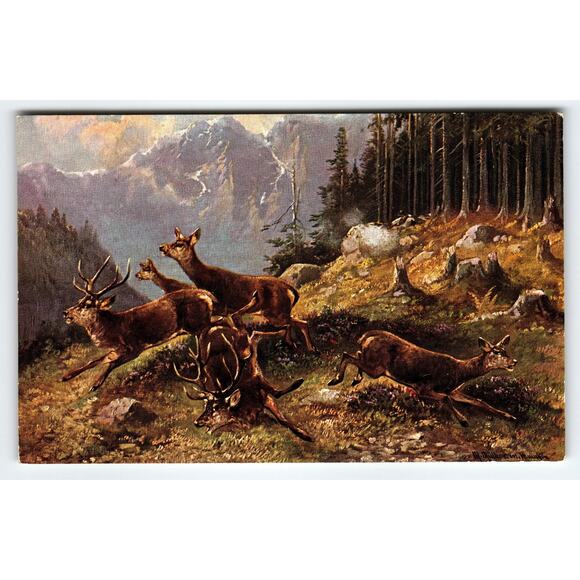 Vintage Muller Signed Artist Card of Deer in Mountain Landscape - Picture 1 of 2